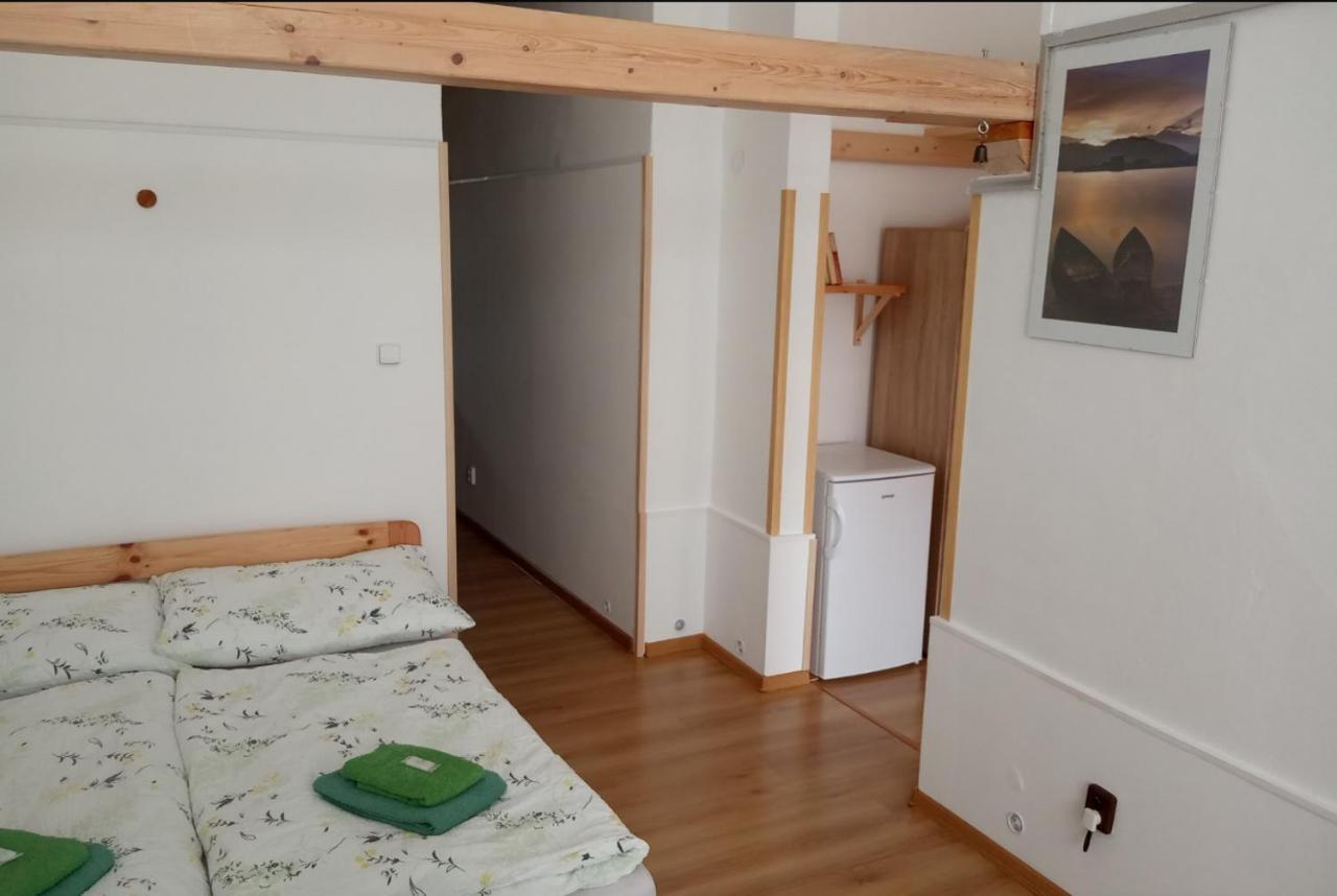 Apartment Pod Hradem Loket Kültér fotó