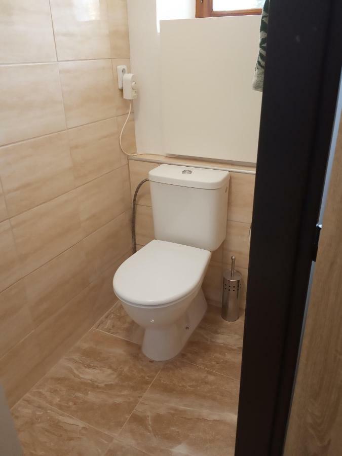 Apartment Pod Hradem Loket Kültér fotó