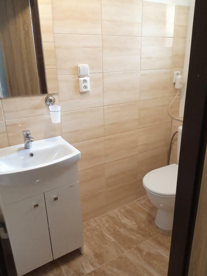 Apartment Pod Hradem Loket Kültér fotó
